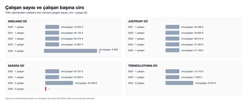 Çalışan sayısı ve çalışan başına ciro (grafik)